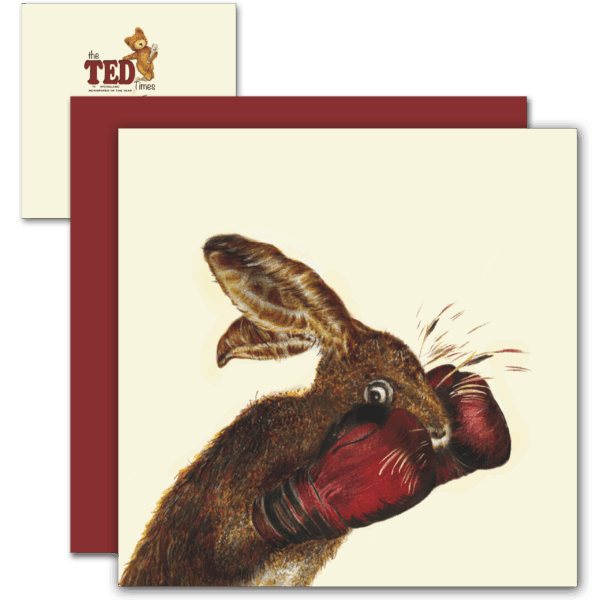 Hubble The Gentle Hare