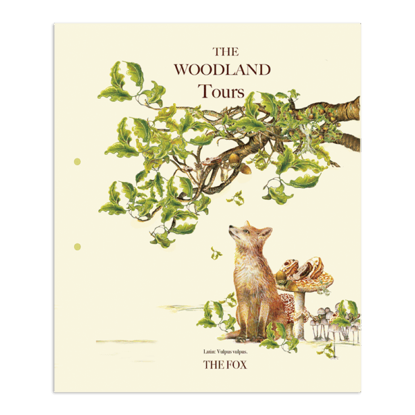 The Fox | The Ted Times | The Woodland Tours