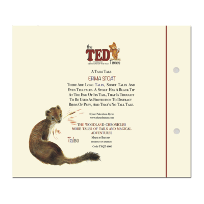Erma Stoat Head & Tails Notebook | The Ted Times