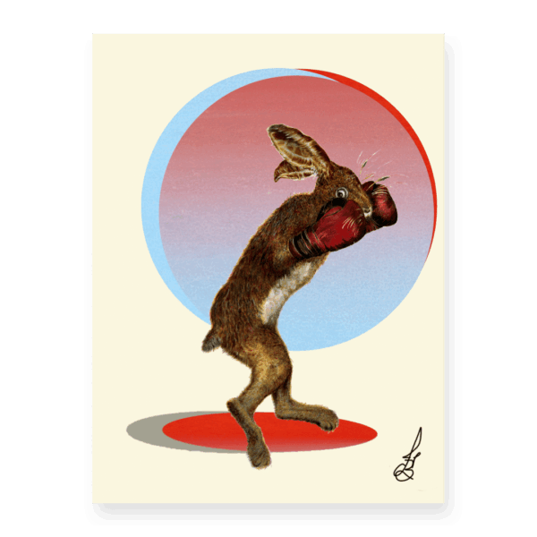 Hubble Boxing full colour silk g paint wall | The Ted Times