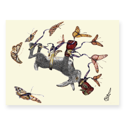 Hubble Flying B:W + Colour | The Ted Times