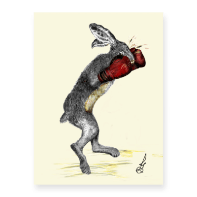 Hubble Boxing | The Ted Times