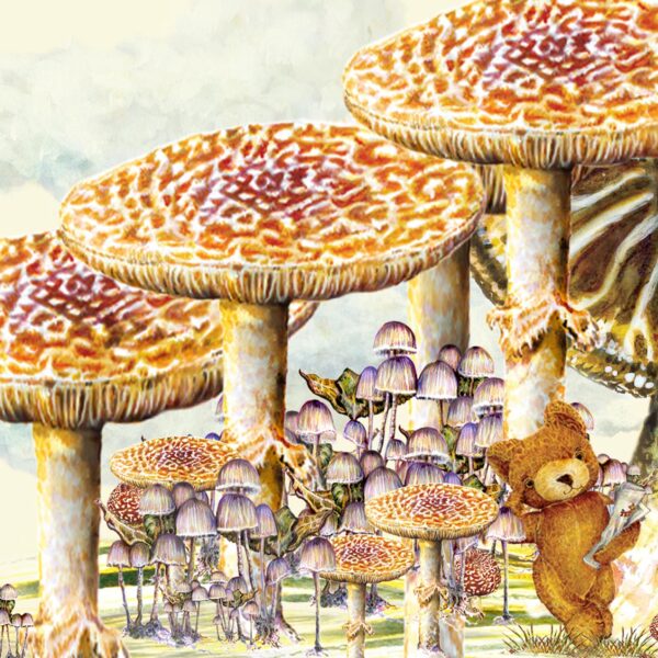 The Mushroom